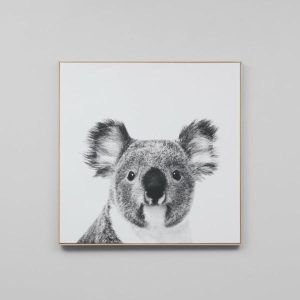 Art Prints & Wall Art | Koala Framed Canvas Print 80Cm X 80Cm Art Prints & Wall Art Art Prints & Wall Art