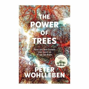 Books | The Power Of Trees By Peter Wohlleben Books Books