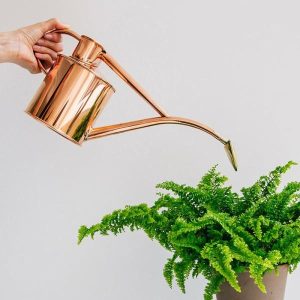 Plant & Garden | Rowley Ripper Watering Can 1L Copper – 2 Left Housewares Plant & Garden