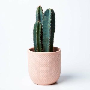 Plant & Garden | Tweed Pot Nectarine Housewares Plant & Garden